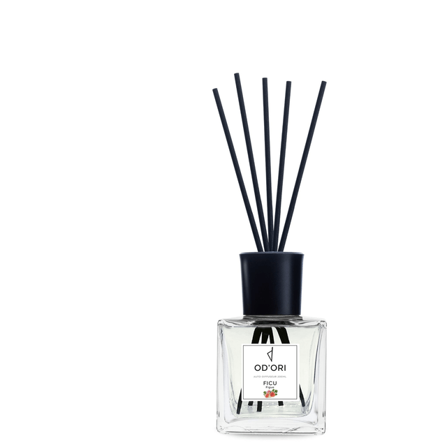 Auto-diffuseur 200ml - FICU (Figue)