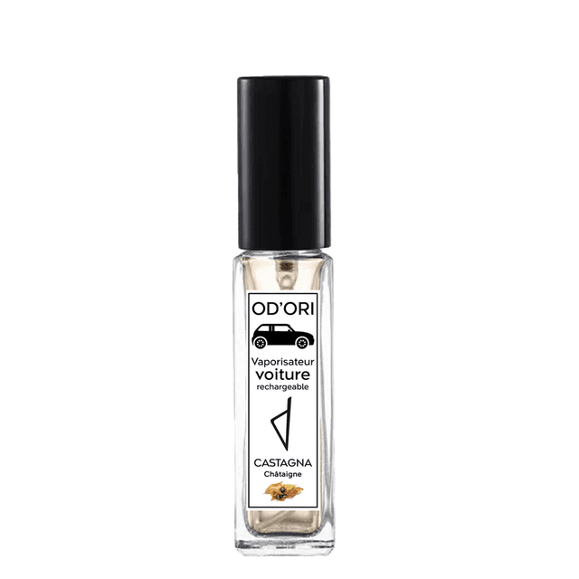 Vaporisateur voiture rechargeable 10ml - CASTAGNA (Châtaigne)